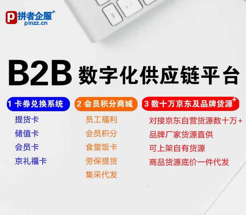 拼者企服 b2b数字化供应链,会员卡券积分兑换商城,对接京东及品牌商品数十万种货源